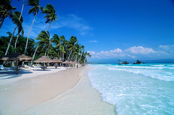 the beach is lined with palm trees and thatched umbrellas, while the ocean waves roll in