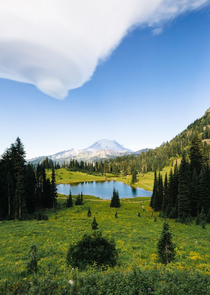 a lake in the middle of a field with trees around it and mountains in the background