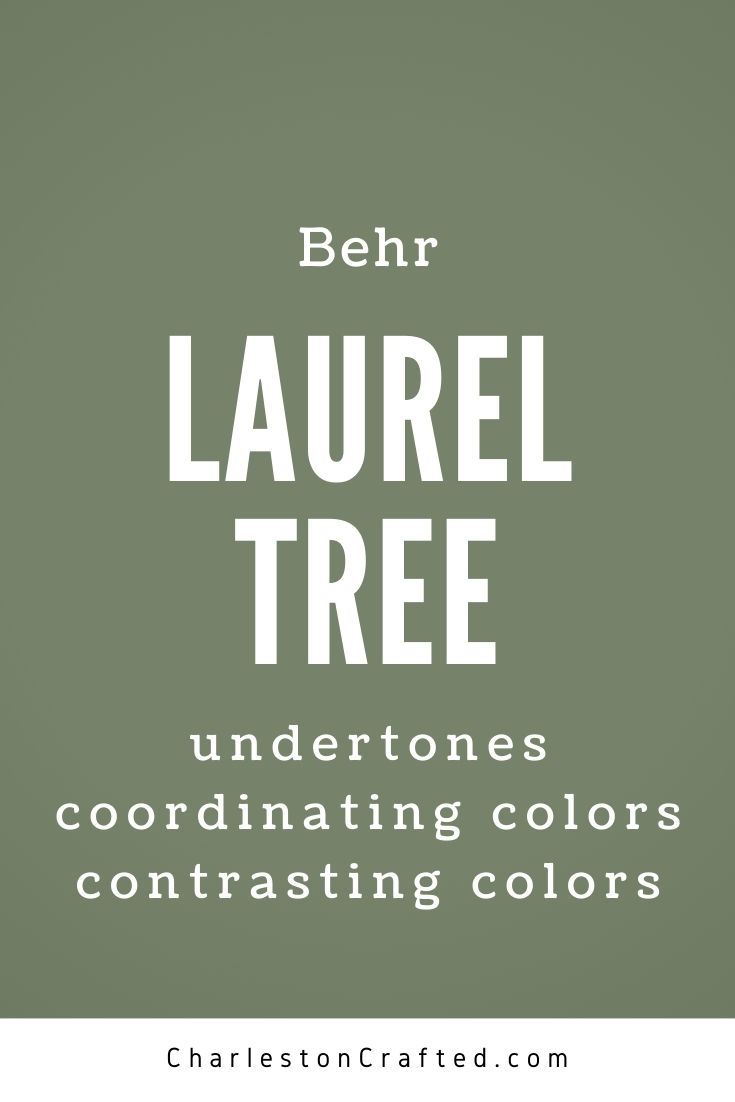 the words behr laurel tree undertones coordinating colors and contrasting colors on a green background