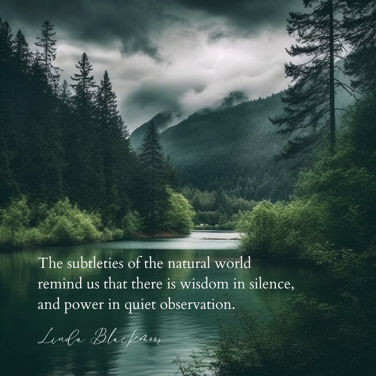 a lake surrounded by trees with a quote on the side that says, the subbers of the natural world remind us that there is wisdom in science and power in observation