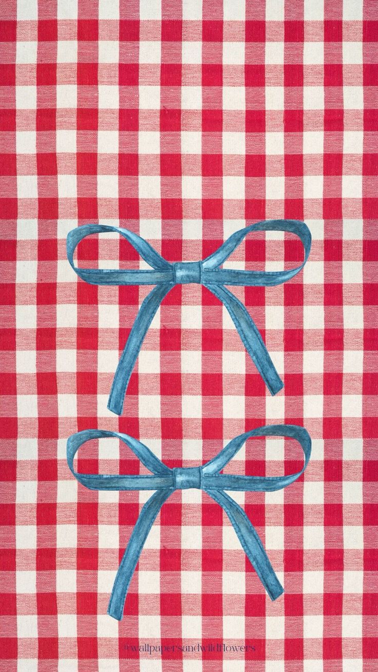 a red and white checkered table cloth with a blue ribbon tied to the top