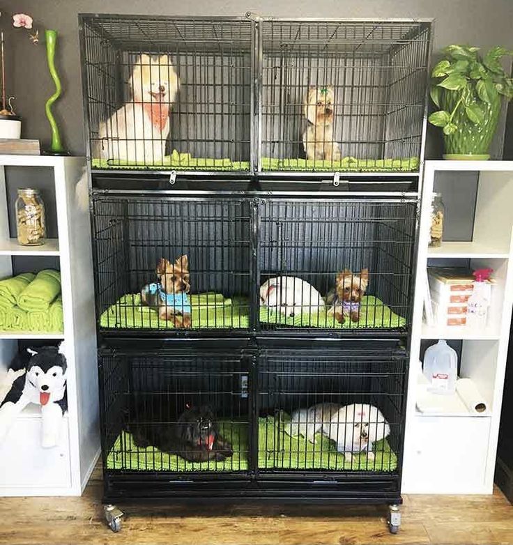 three cages with cats and dogs in them sitting on the floor next to each other