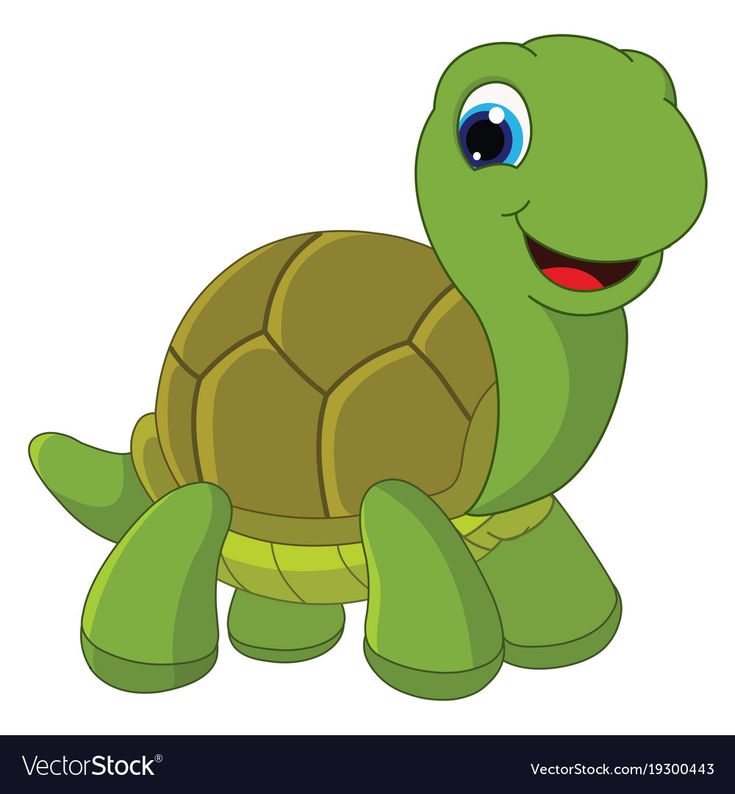 cartoon turtle with big blue eyes on white background