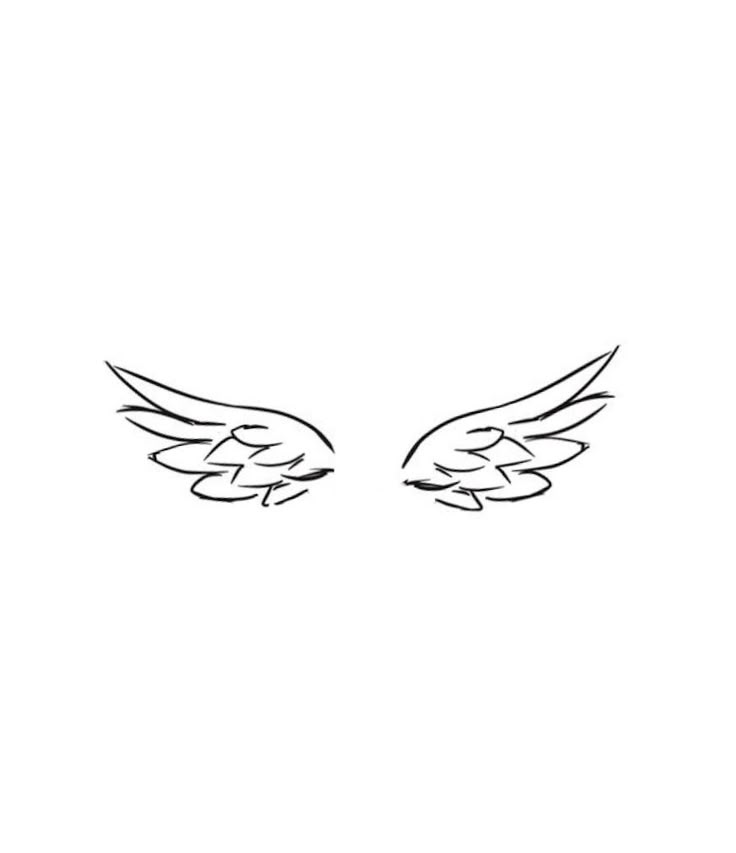 an image of two wings on a white background