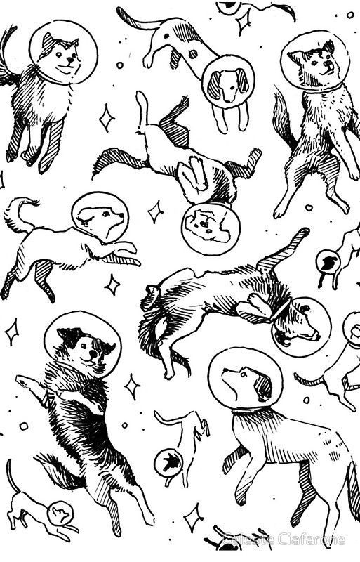 an ink drawing of cats and dogs in various poses, including the dog's head