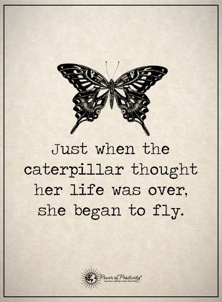 a black and white butterfly with the quote just when the caterpillar thought her life was over, she begun to fly