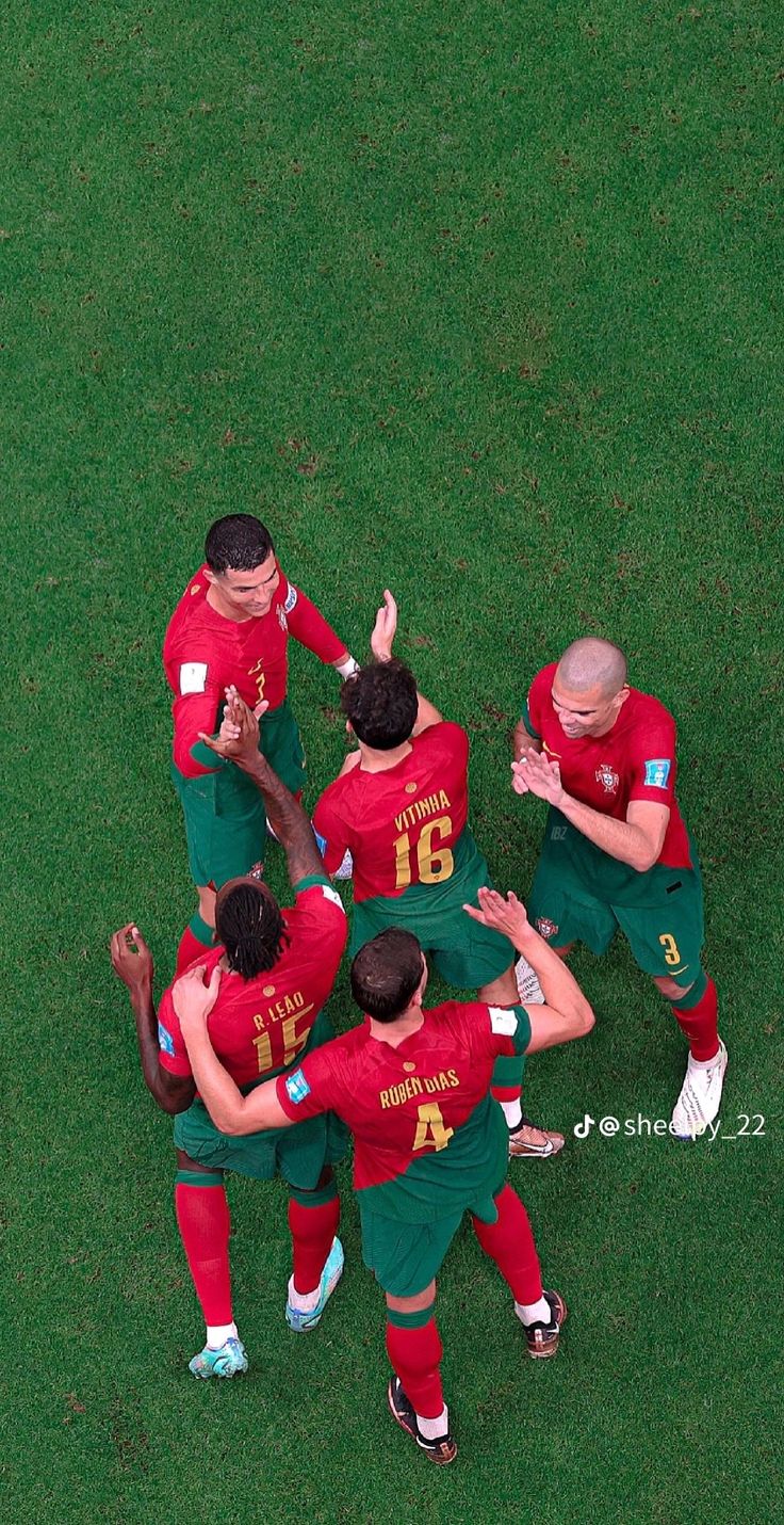 a group of soccer players standing on top of a green field with their hands in the air