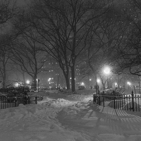 a snow covered park at night with trees and street lights in the distance, on a snowy day