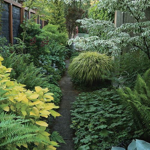 a garden filled with lots of green plants