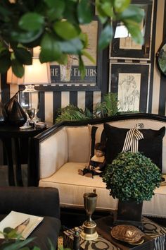 a living room with black and white striped walls, couches, coffee table and potted plant