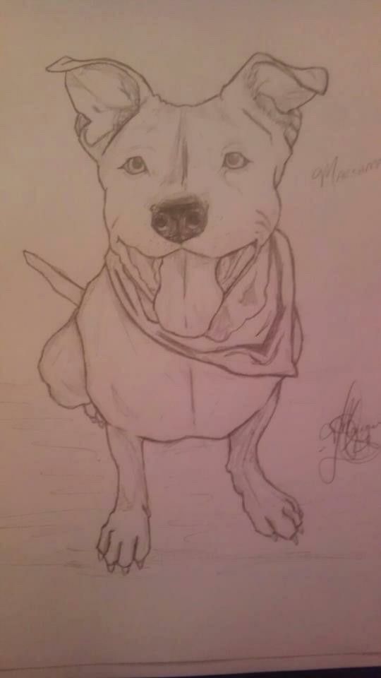 a drawing of a dog wearing a scarf