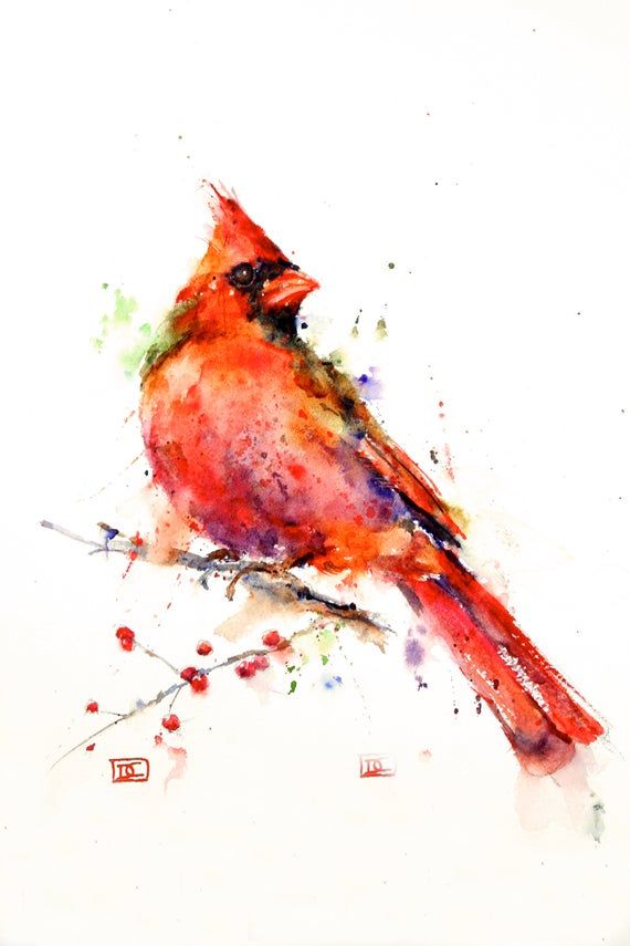 a watercolor painting of a red cardinal sitting on a branch with the word new written below it