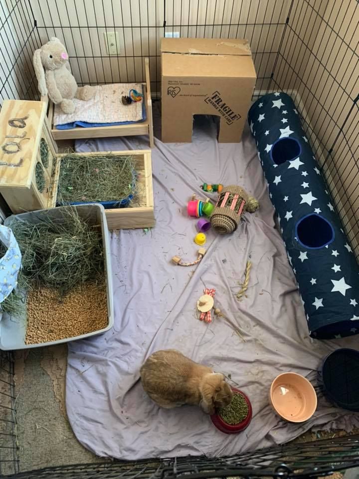 a cage filled with toys and other items on top of a white cloth covered floor