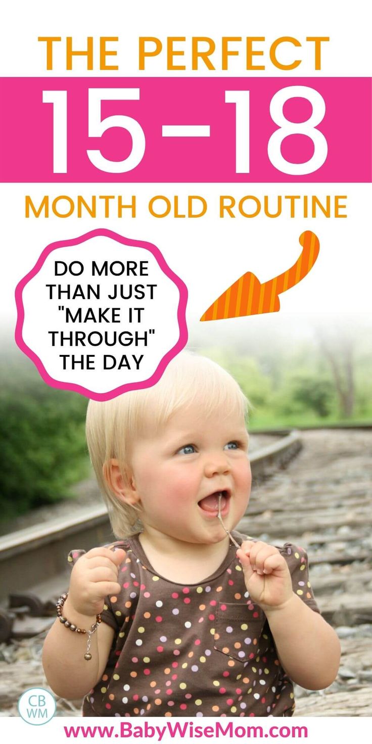 The perfect 15-18 month old routine. Do more than just make it through the day.  Tips to structure your toddler's day and really thrive! #toddlertips #toddlerschedule #15montholdschedule #routine #16montholdschedule #17montholdschedule #18montholdschedule 15 Mo Old Activities, 16 Month Old Sleep Schedule, 16 Month Old Development Milestones, 17 Month Old Schedule, 17 Month Old Milestones, 15 Month Old Schedule, 15 Month Milestones, 15 Month Old Milestones, 16 Month Old Activities