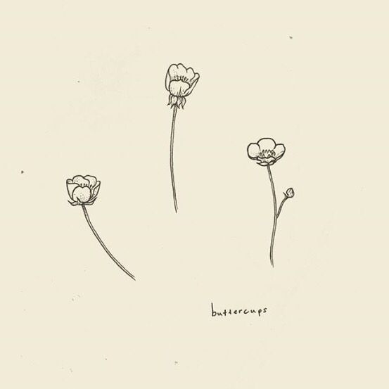 three flowers are shown in black ink on a white paper with the word butterscoop written