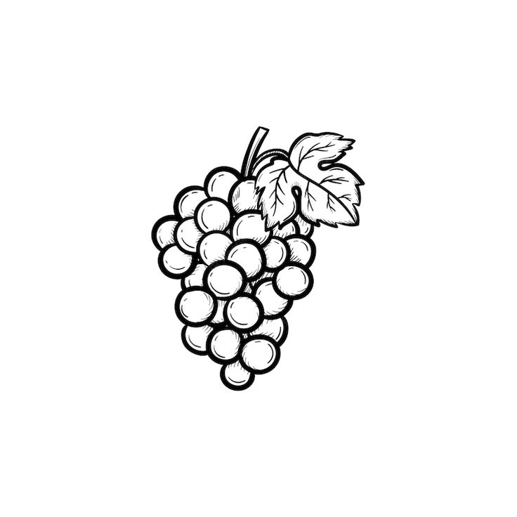 a black and white drawing of grapes