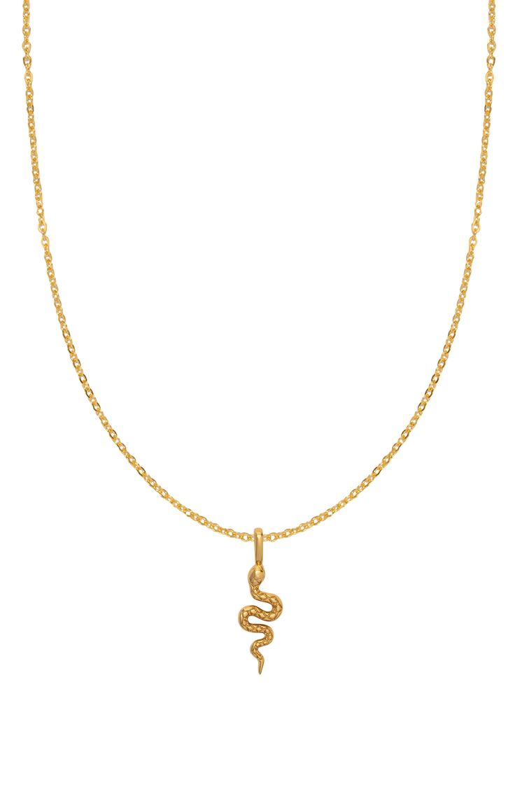 A gleaming goldtone serpent descends from a polished chain in this statement-making necklace. Delivered from the Made by Mary studio in a giftable book-style box, each piece is carefully crafted with your story in mind. 16" length; 2" extender; 3/4"L pendant Gold-plated sterling silver Imported Brass Snake-shaped Necklace For Gifts, Gold Plated Adjustable Snake Chain Necklace Gift, Gold Plated Snake Chain Necklace Gift, Adjustable Yellow Gold Snake Chain Necklace For Gift, Gold Snake Shape Chain Necklace Gift, Snake Shape Gold Chain Necklace Gift, Yellow Gold Adjustable Snake Chain Necklace As Gift, Yellow Gold Adjustable Snake Chain Necklace, Snake Chain Jewelry As Gift