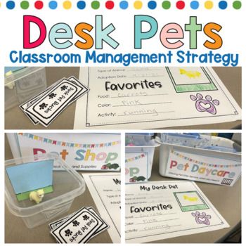 the classroom management strategy for pets