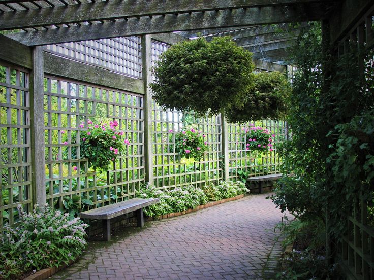 an outdoor garden area with benches and plants on the sides, surrounded by pergolated trelliss