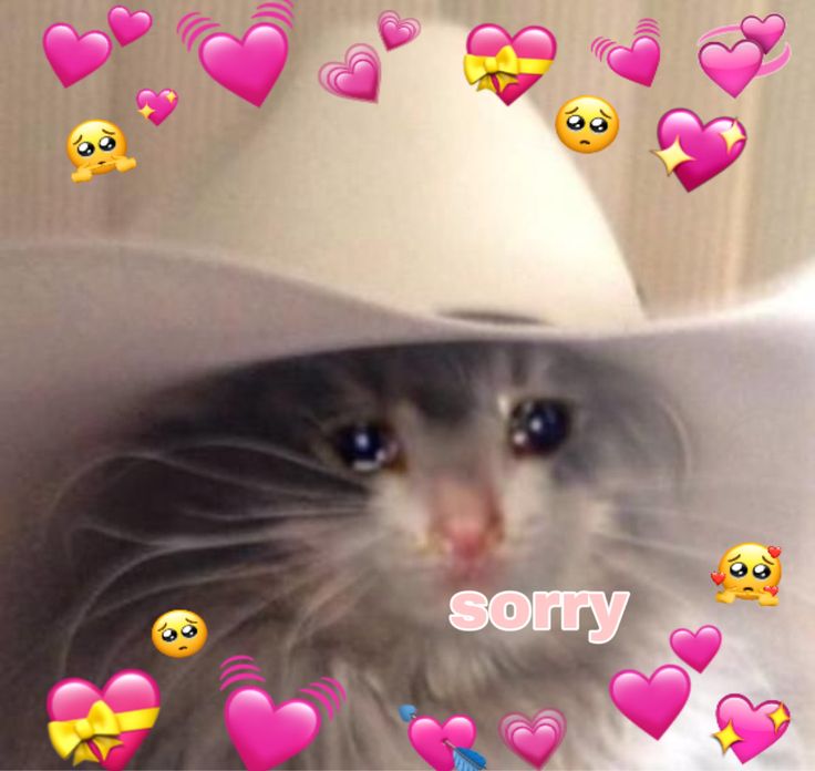 a cat wearing a white hat surrounded by hearts and emoticions that say sorry