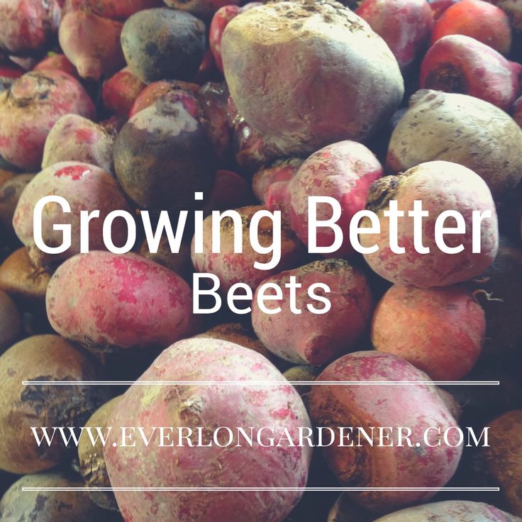 a pile of fruit with the words growing better beets