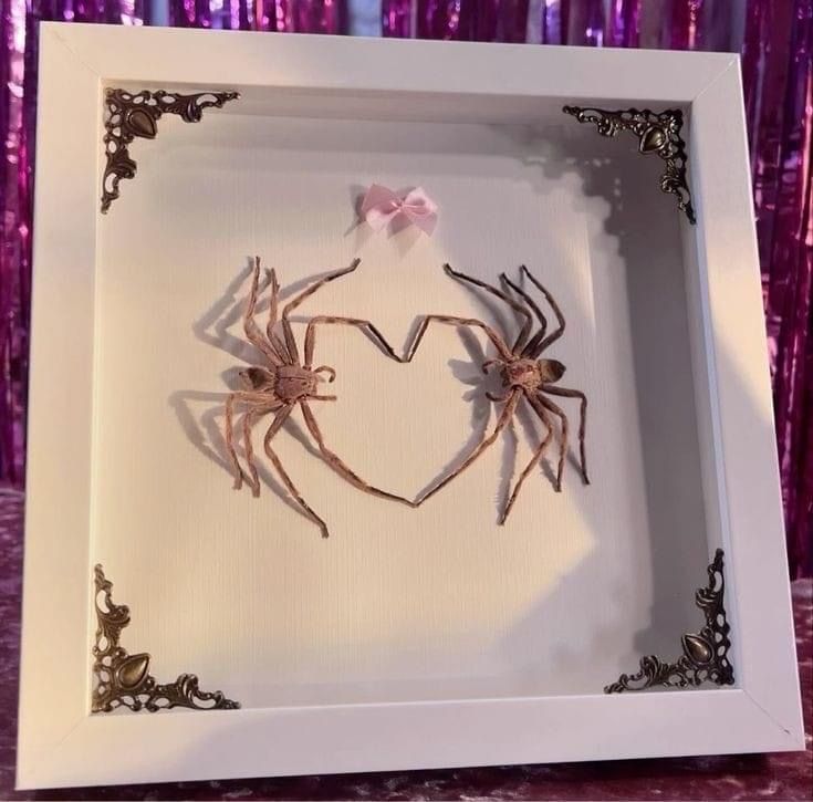 two spider in a frame with a pink bow