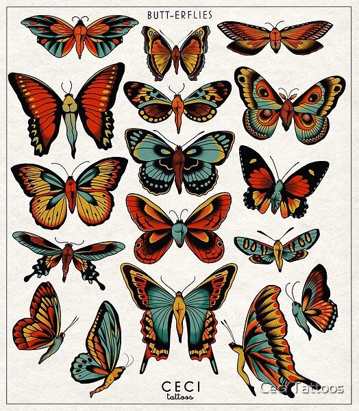 an image of butterflies with different colors and sizes on the wings, including oranges, blue