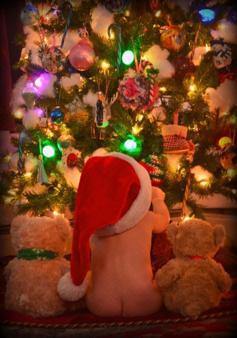 two teddy bears sitting in front of a christmas tree