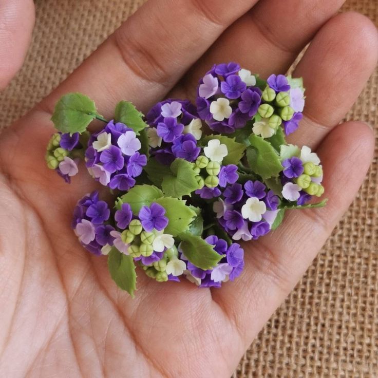 small purple and white flowers are in the palm of a person's hand,