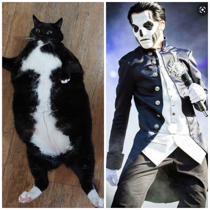 two pictures one with a black and white cat, the other wearing a skeleton mask