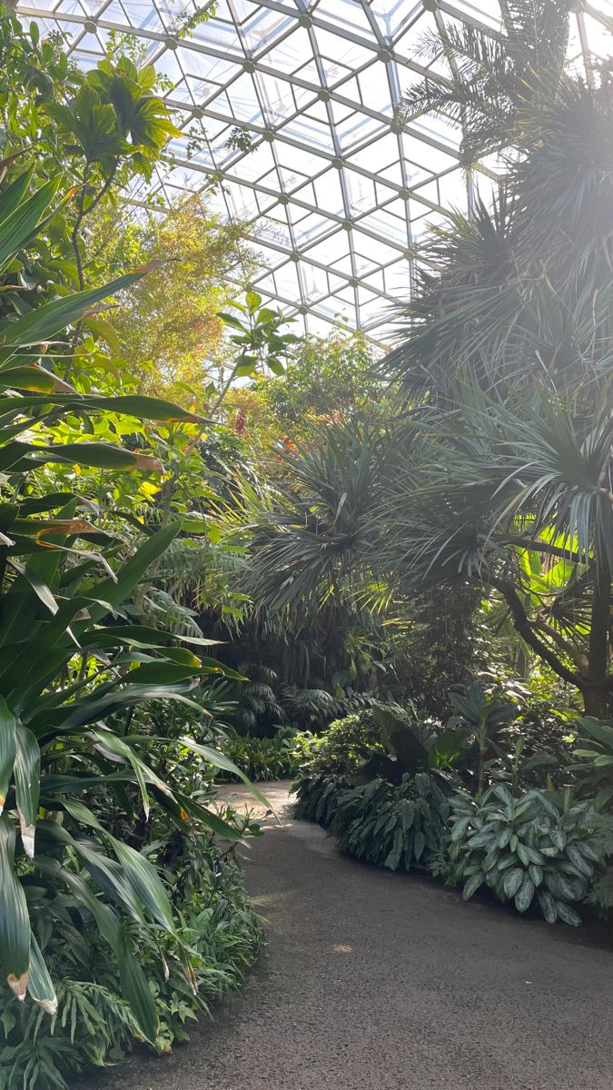 the inside of a tropical greenhouse with lots of plants and trees in it's walls