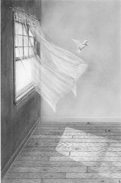 a drawing of a room with a window and curtains on the wall, in front of a bird flying overhead