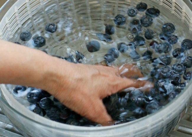 a person is washing blueberries in a bucket