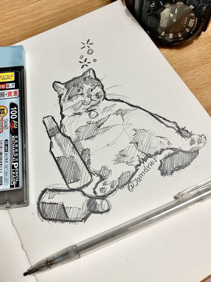 a drawing of a cat sitting on top of a piece of paper next to a digital camera