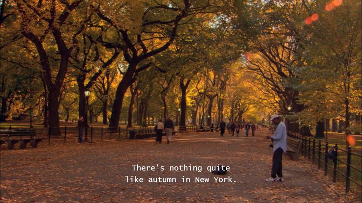 there's nothing quite like autumn in new york