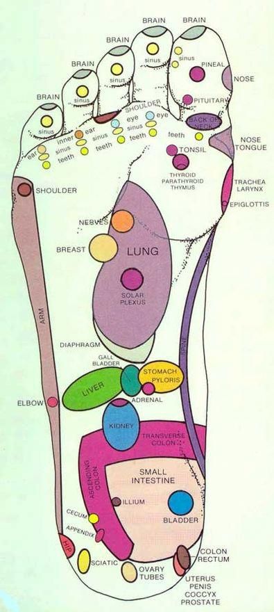 Autogenic Training, Reflexology Points, Reflexology Chart, Foot Reflexology, Acupressure Points, Foot Massage, Pressure Points, Reflexology, Acupressure