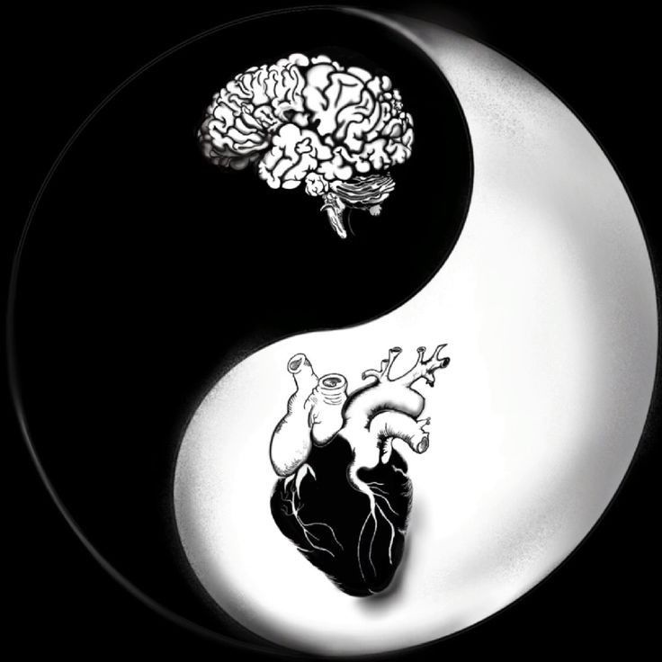 a yin - yang sign with a drawing of a human heart and brain on it