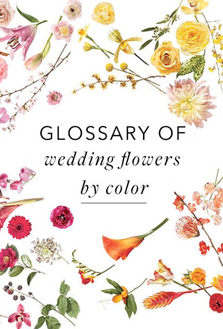 a book with flowers on it and the title glossary of wedding flowers by color