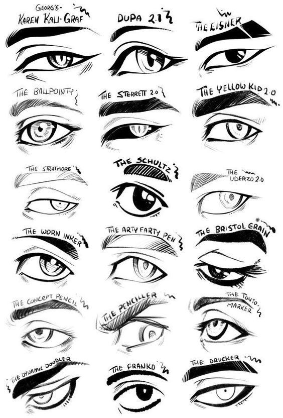 an image of different types of eyes