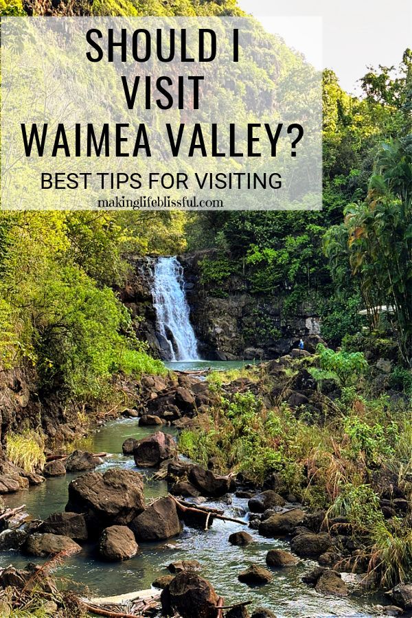 a waterfall with text overlay that says should you visit waimea valley? best tips for visiting