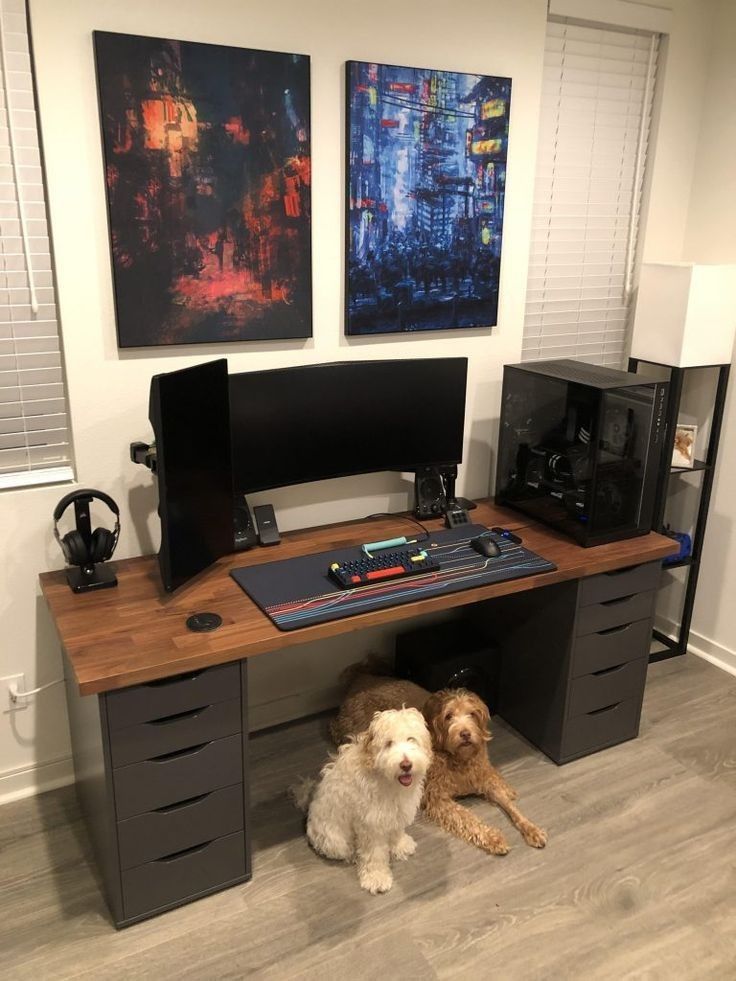 two dogs sitting in front of a desk with computer equipment on it and paintings behind them