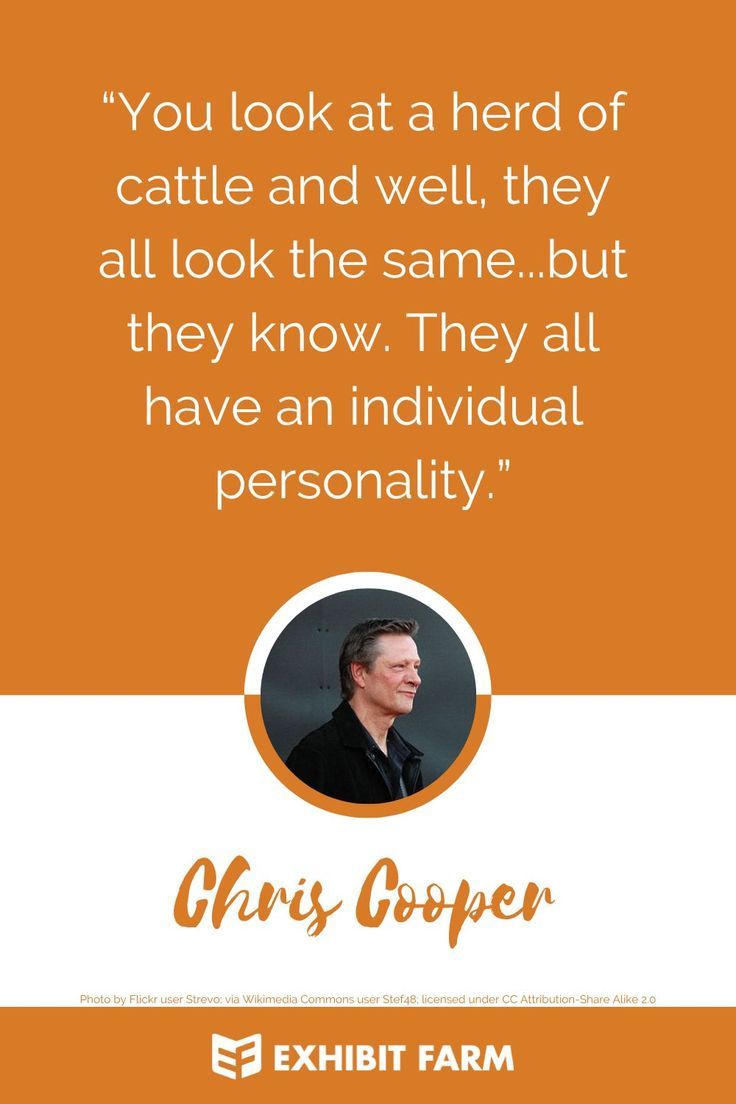 Orange graphic. Text reads, "You look at a herd of cattle and well, they all look the same...but they know. They all have an individual personality — Chris Cooper." Chris Cooper, Cattle Ranch, Cattle Ranching, The Leader, In Hollywood, Kansas, Growing Up, Look At, Career