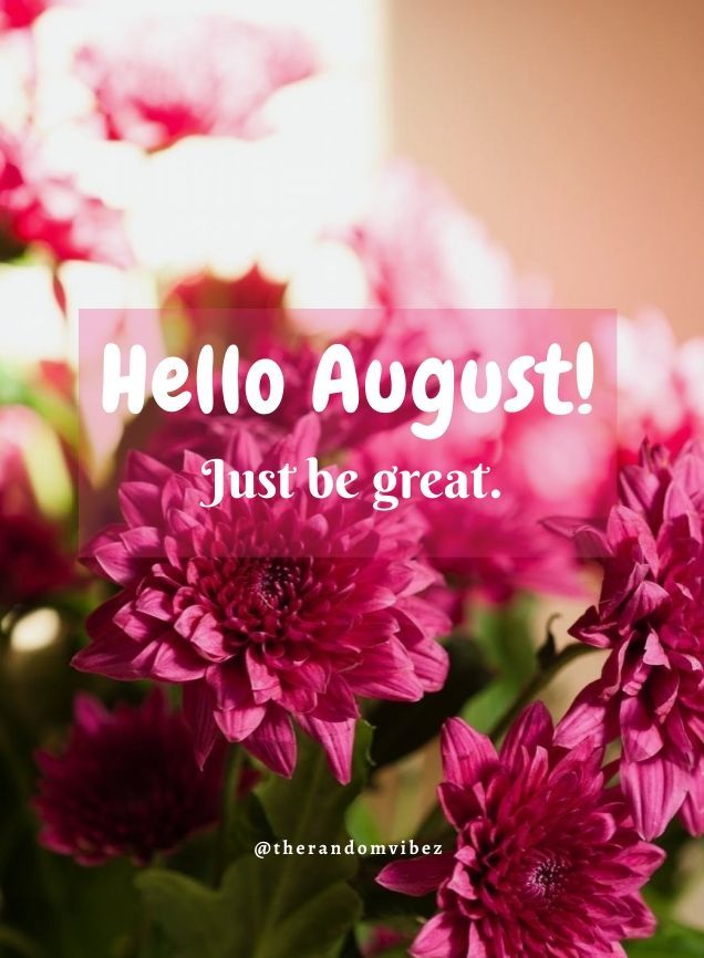 pink flowers with the words hello august just be great