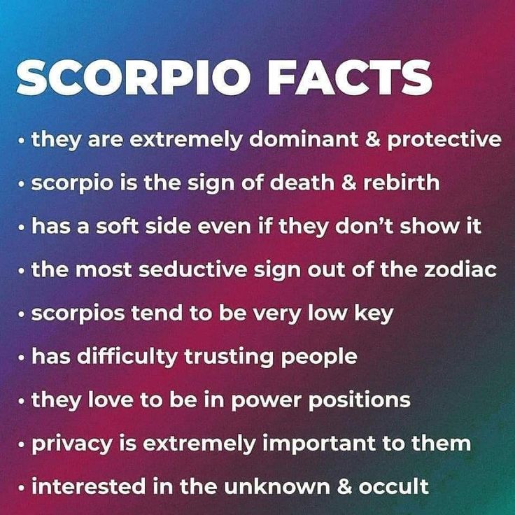 the words scorpio facts are written in white on a purple and blue background