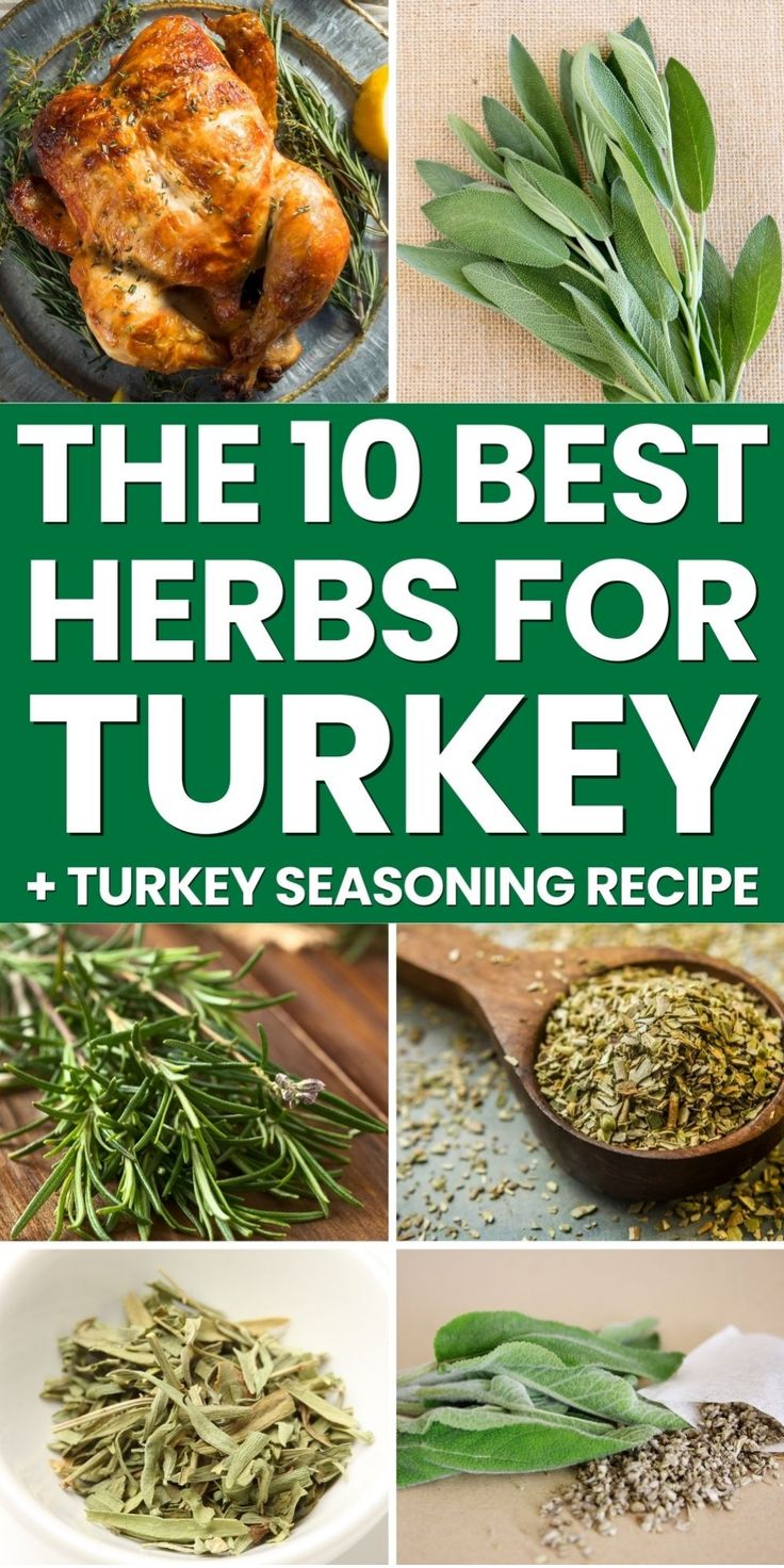 The 10 Best Herbs for Turkey; roasted turkey, fresh sage, rosemary, oregano, and a bowl of mixed herbs. Best Turkey Seasoning Recipe, Fresh Herbs For Turkey, Herbs For Turkey, Turkey Seasoning Recipes, Turkey Seasoning Rub, Seasoning For Turkey, Best Turkey Seasoning, Turkey Seasonings, Poultry Seasoning Recipe