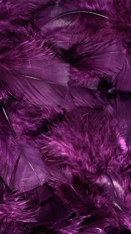 purple feathers are arranged in rows on top of each other, as well as the background