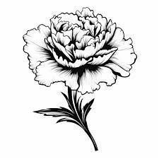 a black and white drawing of a peony flower on a white background with text