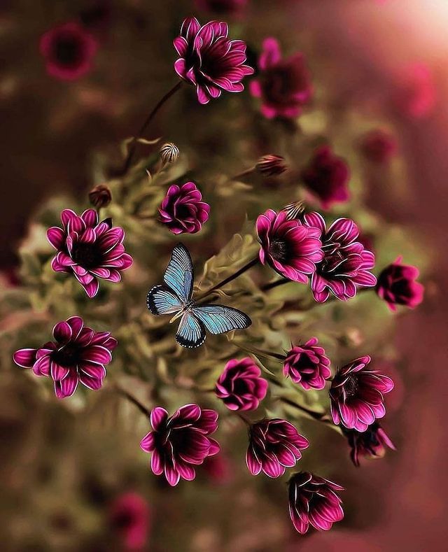 a blue butterfly sitting on top of pink flowers with the caption wallpaper whatsapp