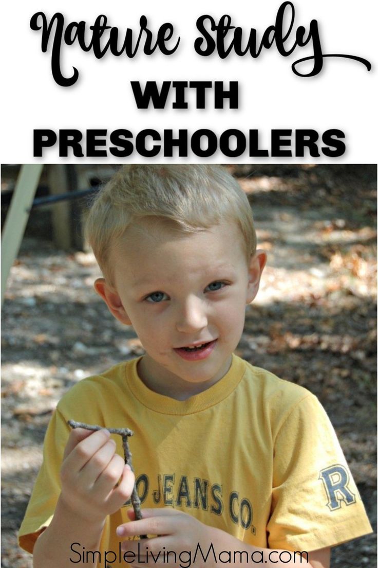 a young boy holding a piece of wood with the words nature study with preschoolers