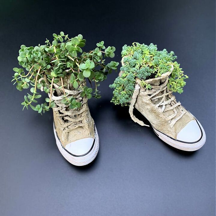 two shoes with plants growing out of them